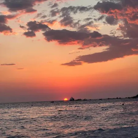 Aleks Lungo Mare